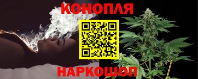 шишки Будённовск