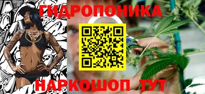 шишки Будённовск