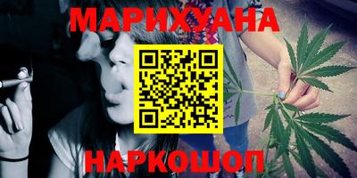 шишки Будённовск
