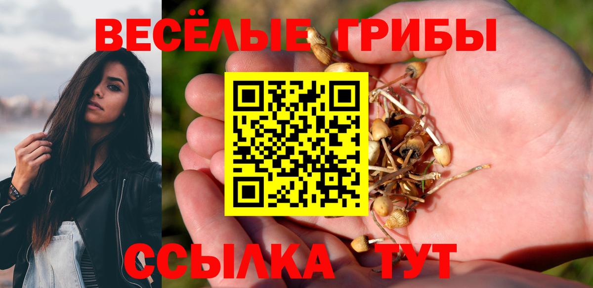 Псилоцибиновые грибы прущие грибы Электрогорск